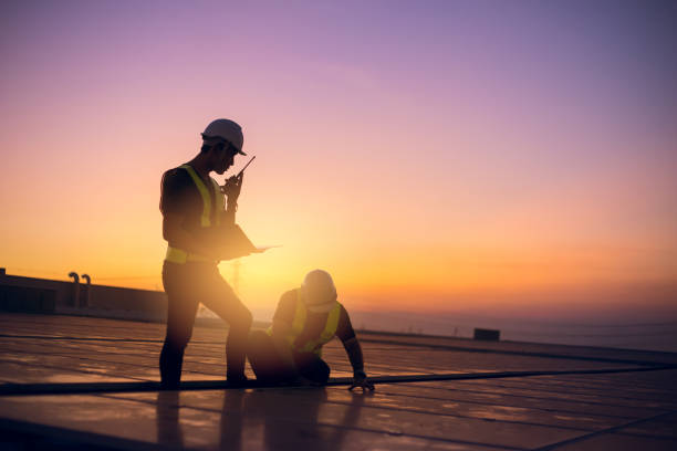 Best Roof Gutter Cleaning  in Steele Creek, AK