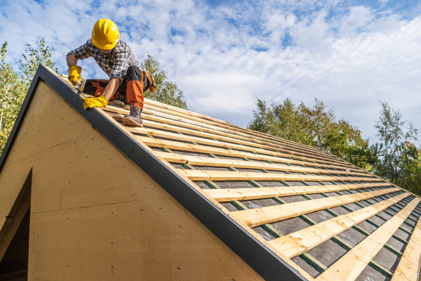 Best Gutter Installation and Roofing  in Steele Creek, AK