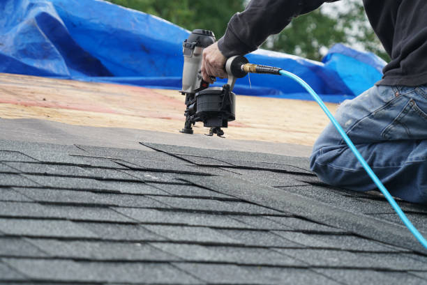 Best Storm Damage Roof Repair  in Steele Creek, AK