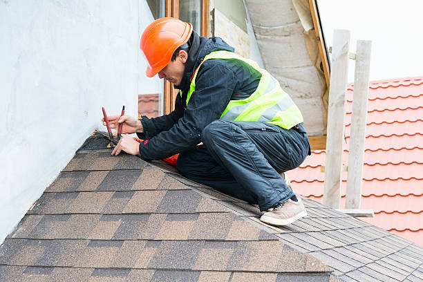 Best Roof Leak Repair  in Steele Creek, AK