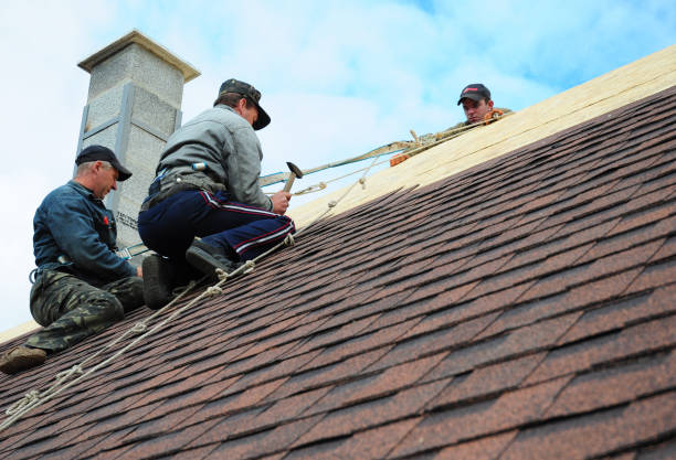 Best Residential Roofing Contractor  in Steele Creek, AK