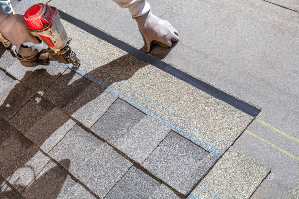 Professional Roofing Contractor in Steele Creek, AK