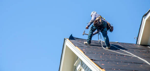 Best Residential Roofing Contractor  in Steele Creek, AK